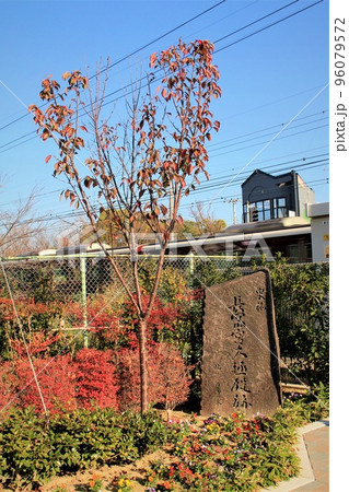 長岡宮大極殿跡と紅葉 長岡宮大極殿跡と紅葉 96079572