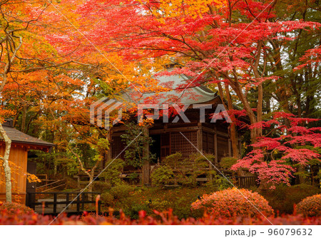 中尊寺　峯薬師堂 96079632