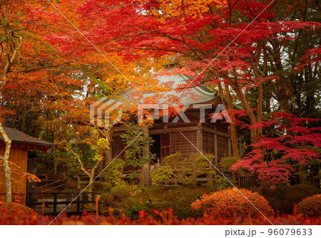 中尊寺　峯薬師堂 96079633