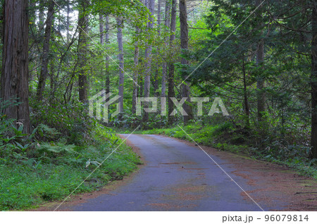 山中の道路 96079814