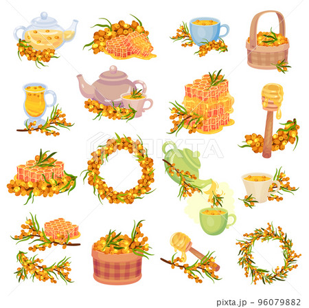 Sea Buckthorn Berry with Honey and Hot Tea Brewing Big Vector Set Sea Buckthorn Berry with Honey and Hot Tea Brewing Big Vector Set 96079882