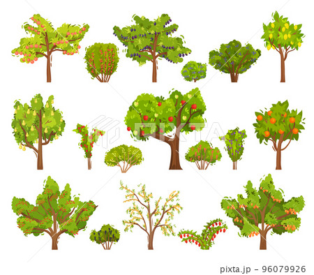 Set of fruit trees with ripe fruits and berries. Apple, pear, lemon, orange, plum, sea buckthorn, currant, cherry cartoon vector 96079926