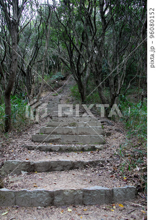 六甲縦走路の鉄拐山から旗振山への縦走路 六甲縦走路の鉄拐山から旗振山への縦走路 96080152