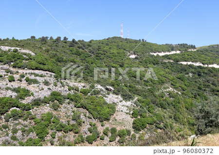Golan Heights in northern Israel on the border with Syria. Golan Heights in northern Israel on the border with Syria. 96080372