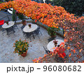 イタリア シエナ 紅葉する秋のカフェを上から見る 96080682