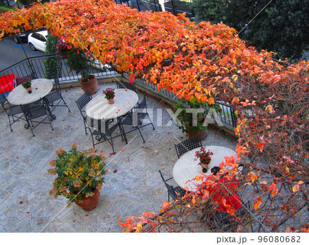 イタリア シエナ 紅葉する秋のカフェを上から見る 96080682