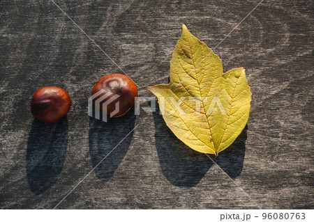 Soft selective focus on Autumn composition of two chestnuts and yellow leaf on dark wooden surface. Materials for handmade products. Black shadows. Copy Space for text. Soft selective focus on Autumn composition of two chestnuts and yellow leaf on dark wooden surface. Materials for handmade products. Black shadows. Copy Space for text. 96080763