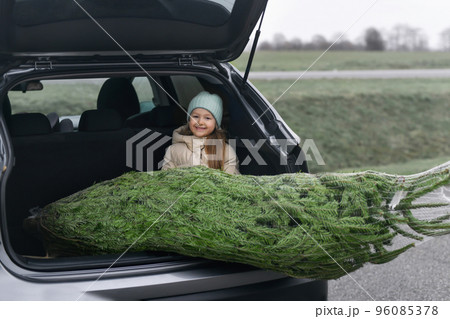 Girl sitting in the trunk with a Christmas tree 96085378