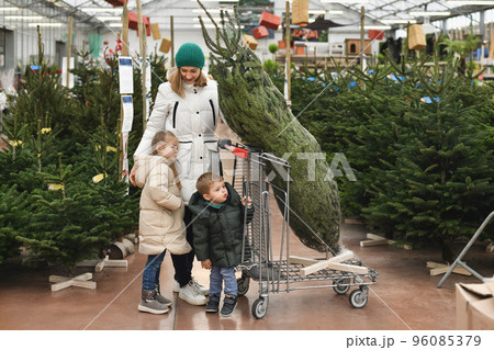 Mother and children choose a Christmas tree at a market. Mother and children choose a Christmas tree at a market. 96085379