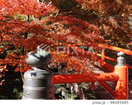 秋の伊香保温泉　河鹿橋の紅葉 96085685