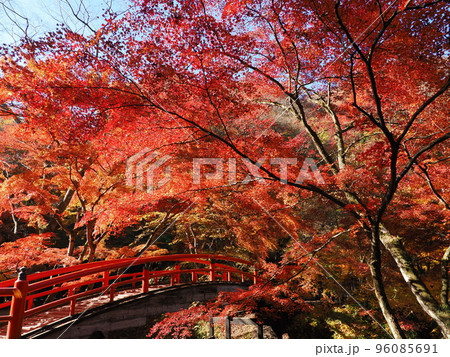 秋の伊香保温泉　河鹿橋の紅葉 96085691
