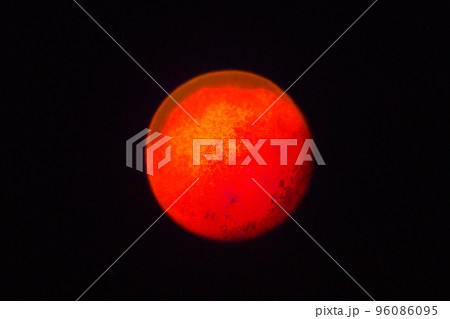 赤い月 皆既月食 2022年11月8日 赤い月 皆既月食 2022年11月8日 96086095