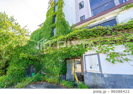 空き家　廃墟　蔦 96086422