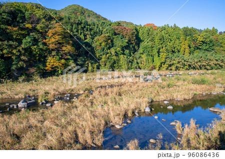 渡良瀬川 船渡跡地付近の風景 秋の季節 渡良瀬川 船渡跡地付近の風景 秋の季節 96086436