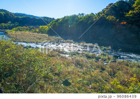 渡良瀬川 船渡跡地付近の風景 秋の季節 渡良瀬川 船渡跡地付近の風景 秋の季節 96086439