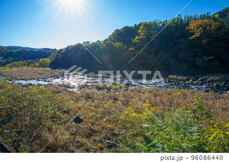 渡良瀬川　船渡跡地付近の風景　秋の季節　 96086440