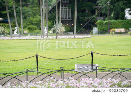 公園の青々とした芝生(日比谷公園) 公園の青々とした芝生(日比谷公園) 96086700