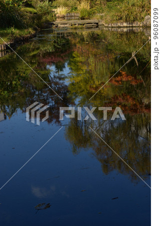 江戸の下町秋散歩 96087099