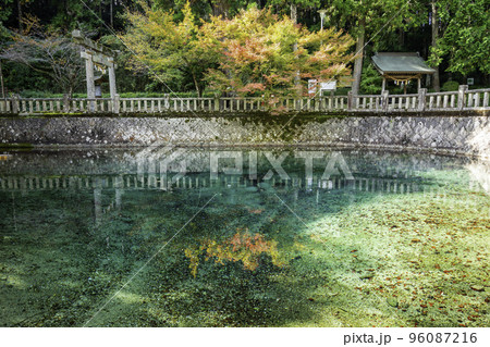 別府弁天池 山口県美祢市 別府弁天池 山口県美祢市 96087216