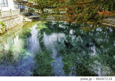 別府弁天池　山口県美祢市 96087218