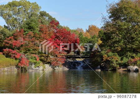秋の公園の風景の写真素材 [96087278] - PIXTA