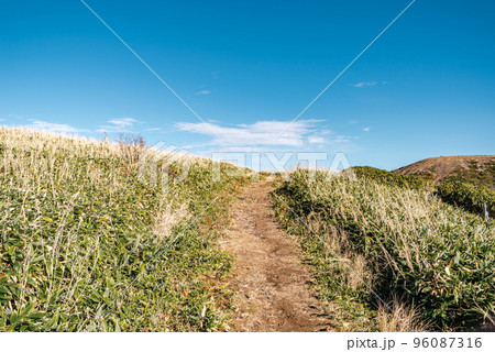 志賀草津高原ルート脇 丘の上の登山道 万座温泉～山田峠・湯釜方向へ　a-2 クールカラー 96087316