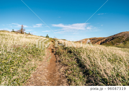 志賀草津高原ルート脇 丘の上の登山道 万座温泉～山田峠・湯釜方向へ　b-2 クールカラー 96087319
