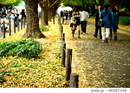 明治神宮外苑　銀杏並木紅葉の風景 96087346