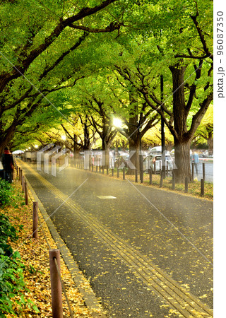 明治神宮外苑　銀杏並木紅葉の風景 96087350