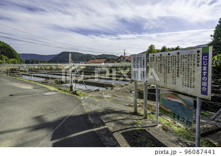 別府弁天池　別府養鱒場　山口県美祢市 96087441