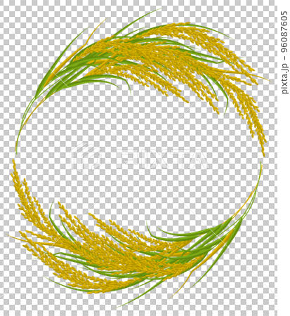 Golden rice ear top and bottom emblem vector illustration 96087605