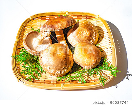 原木栽培の生椎茸 原木栽培の生椎茸 96087744