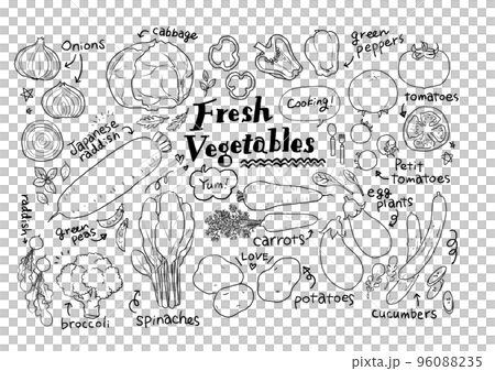 Various vegetables Hand-drawn line drawing illustration material 96088235