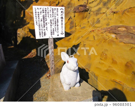 鵜戸神宮/ウサギちゃん 96088301