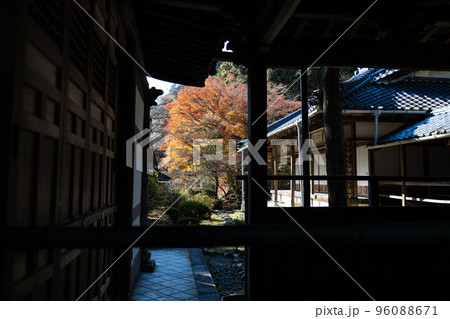 EOSR.広島三原、影と紅葉。 96088671