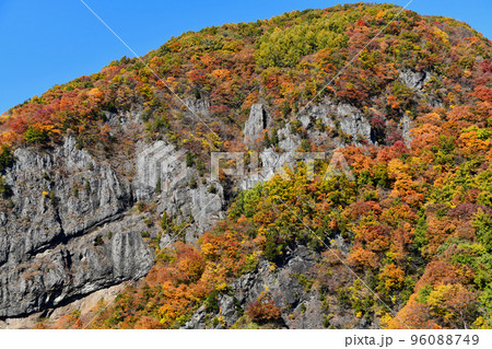 紅葉に染まる信州裾花峡谷 紅葉に染まる信州裾花峡谷 96088749