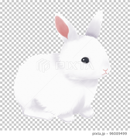 かわいい雪うさぎの水彩イラスト 96089499