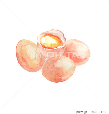 水彩で描いた卵と卵黄のイラスト 96090120