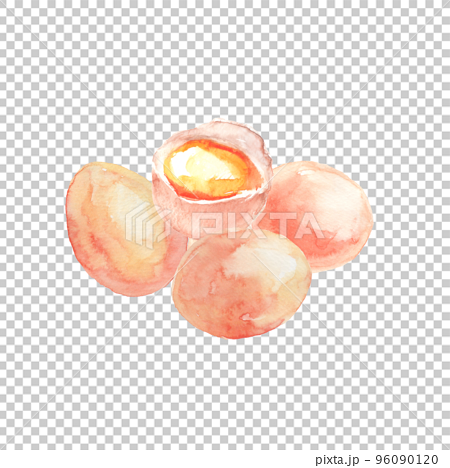 水彩で描いた卵と卵黄のイラスト 96090120