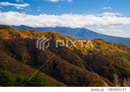 ビーナスラインの紅葉 ビーナスラインの紅葉 96090197