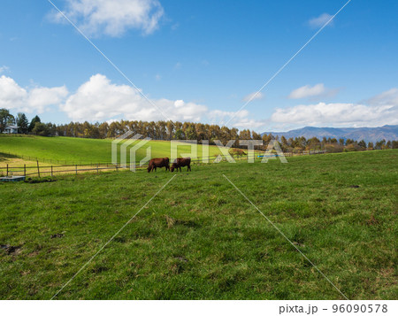 長門牧場 長門牧場 96090578