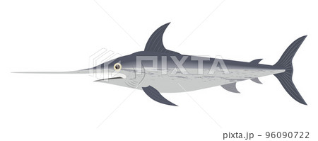 めかじきのイラスト めかじきのイラスト 96090722