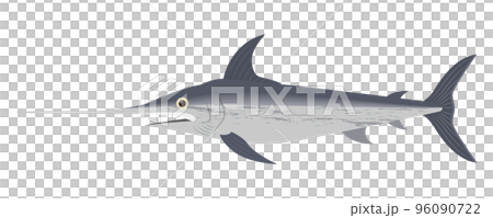 swordfish illustration 96090722