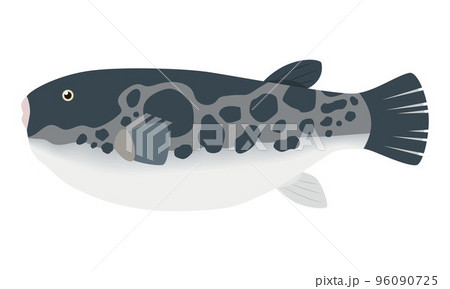 とらふぐのイラスト 96090725