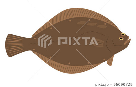 かれいのイラスト 96090729