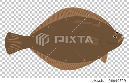 かれいのイラスト 96090729