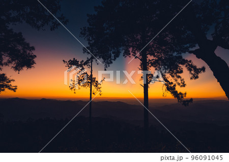 Twilight Sunset ,after sunset in the sky in the forest 96091045