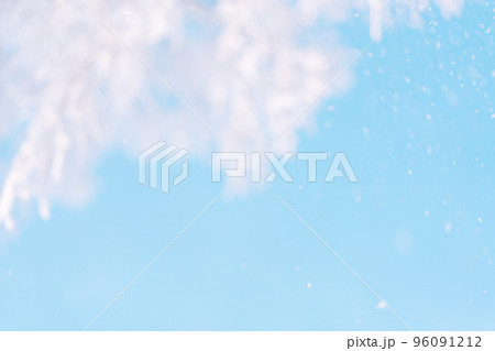 Outside tree in frost background against sky Outside tree in frost background against sky 96091212