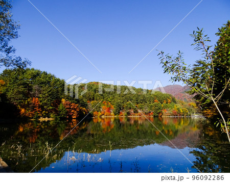秋の美鈴湖 96092286