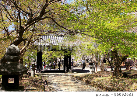 筑前の小京都「秋月」 満開の桜と新緑の緑に彩られた町並み 筑前の小京都「秋月」 満開の桜と新緑の緑に彩られた町並み 96092633
